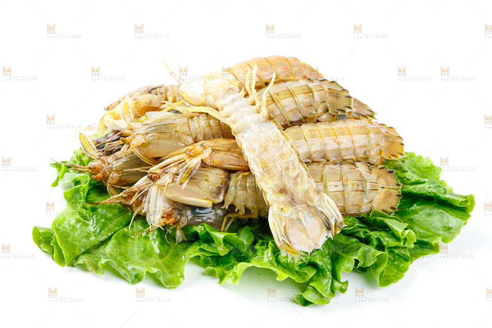 白底上的濑尿虾