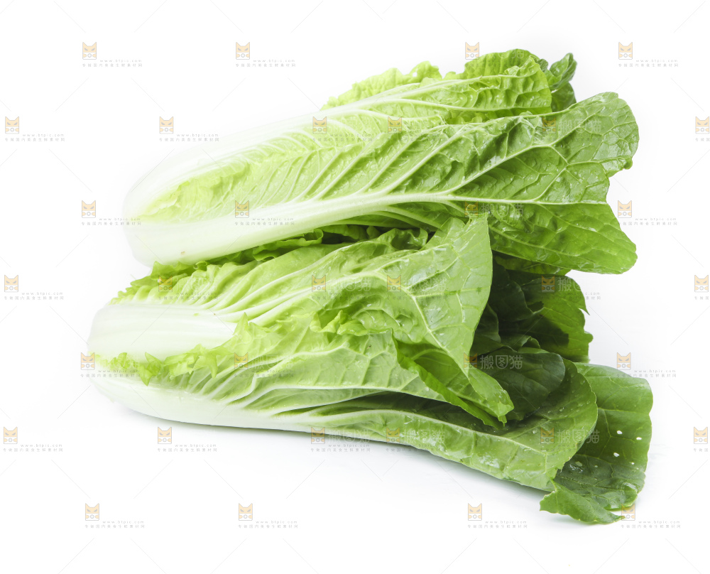 白底上放着大白菜
