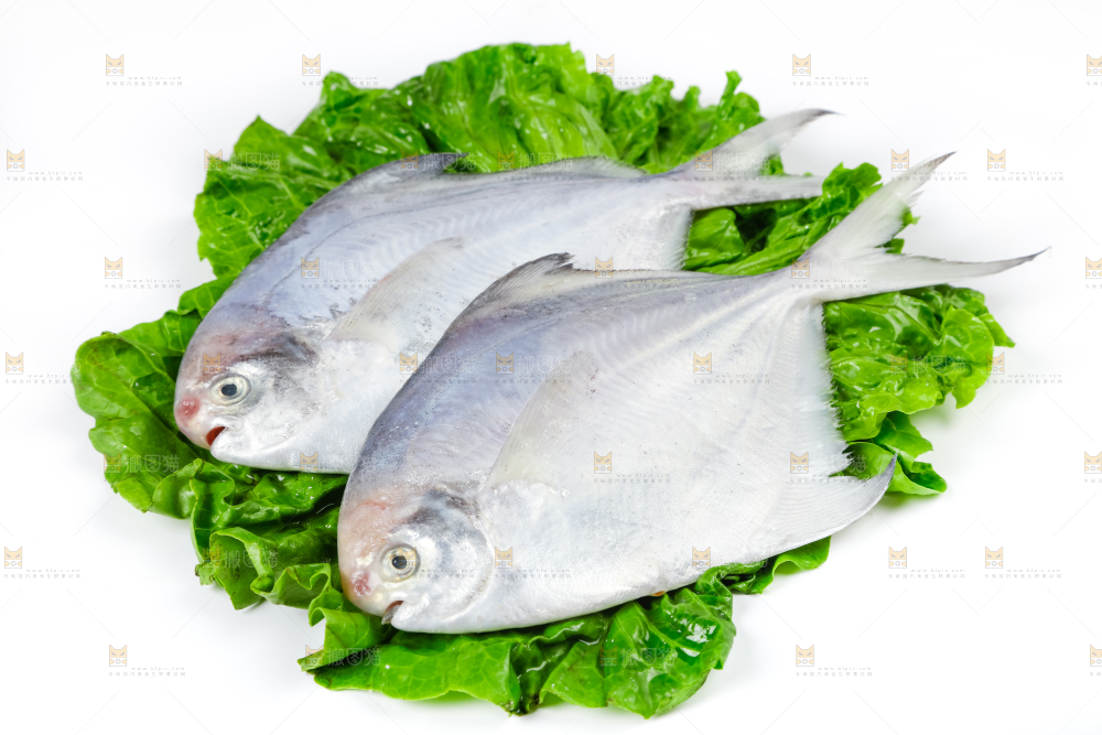 白底上放着银鲳鱼