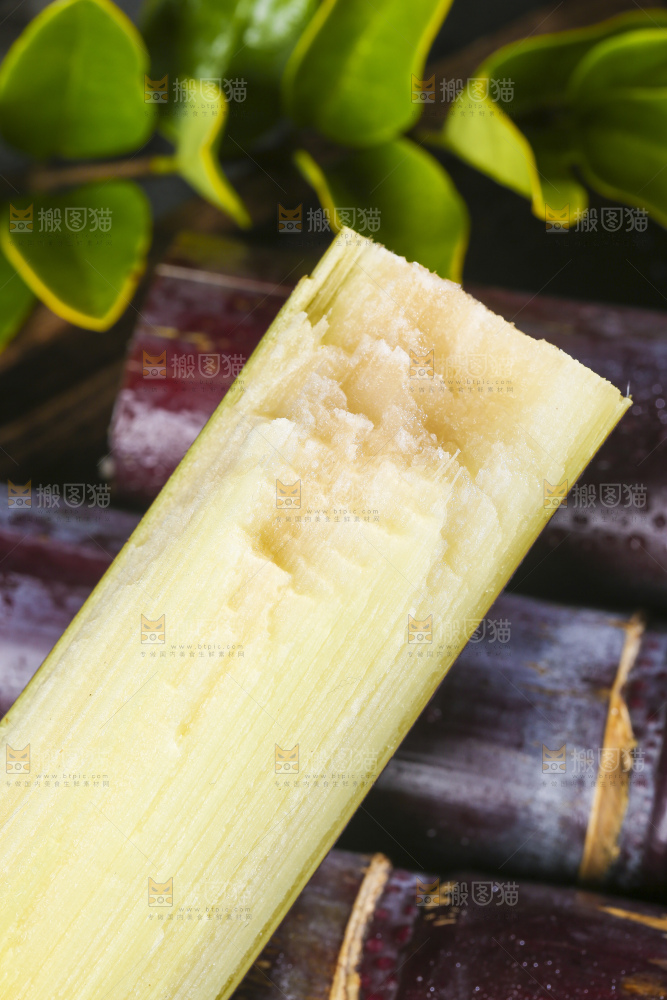 深底上的广西黑皮甘蔗