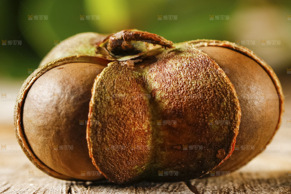 深底上的茶树果
