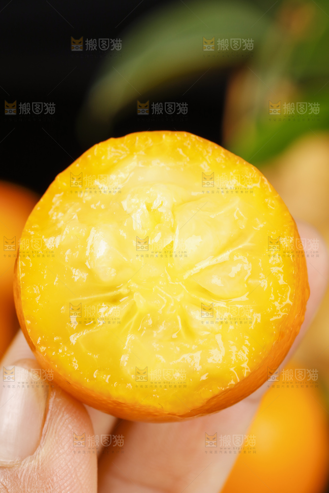黑底上的小金桔