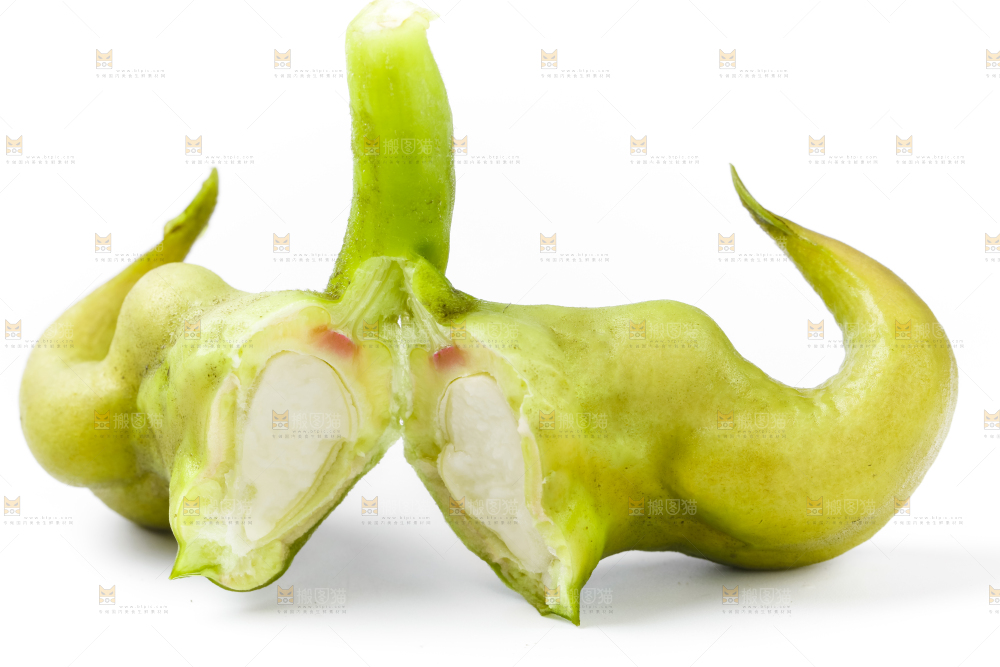 浅底上的新鲜菱角