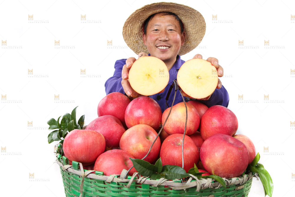 红富士苹果-人物