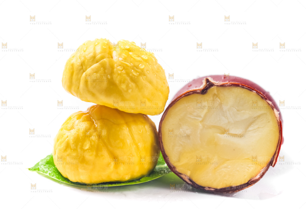 白底上的板栗