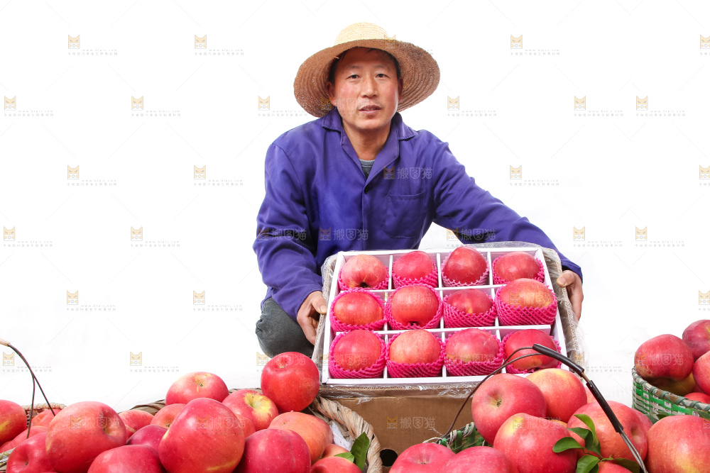 农民手里拿着红富士苹果