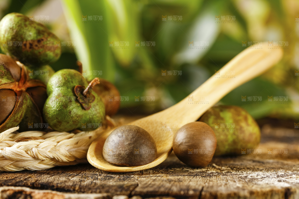 深底上的茶树果