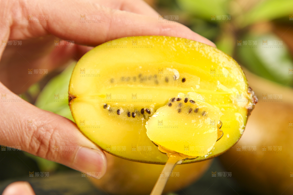 手里拿着黄心奇异果