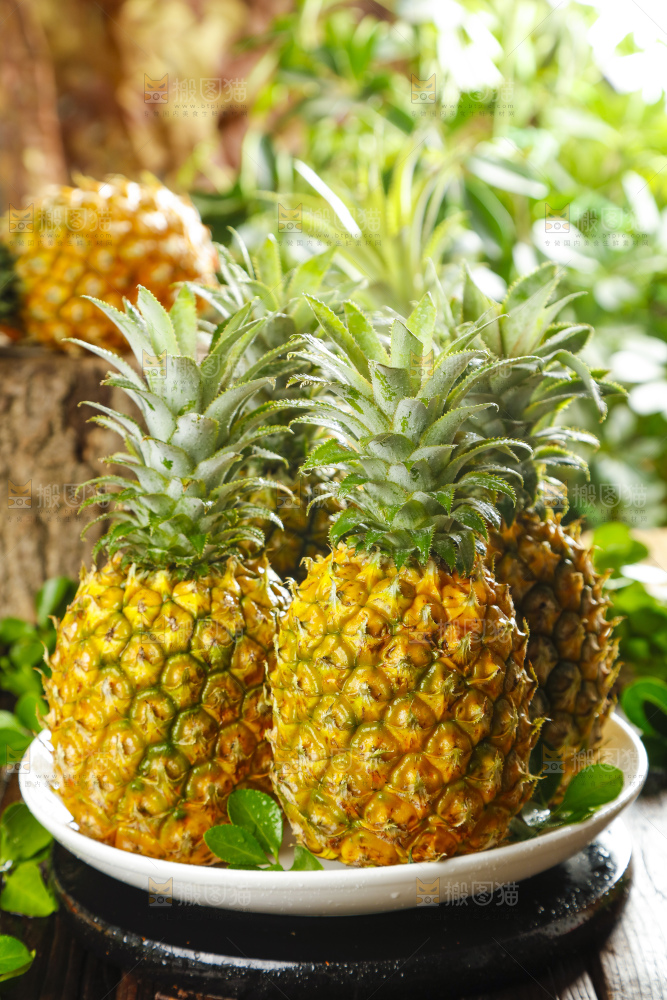 盘子里装着海南金钻菠萝