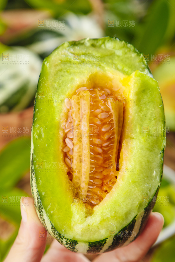 手里拿着博洋甜瓜