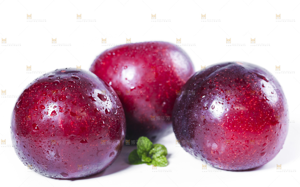 白底上摆放着新鲜恐龙蛋李