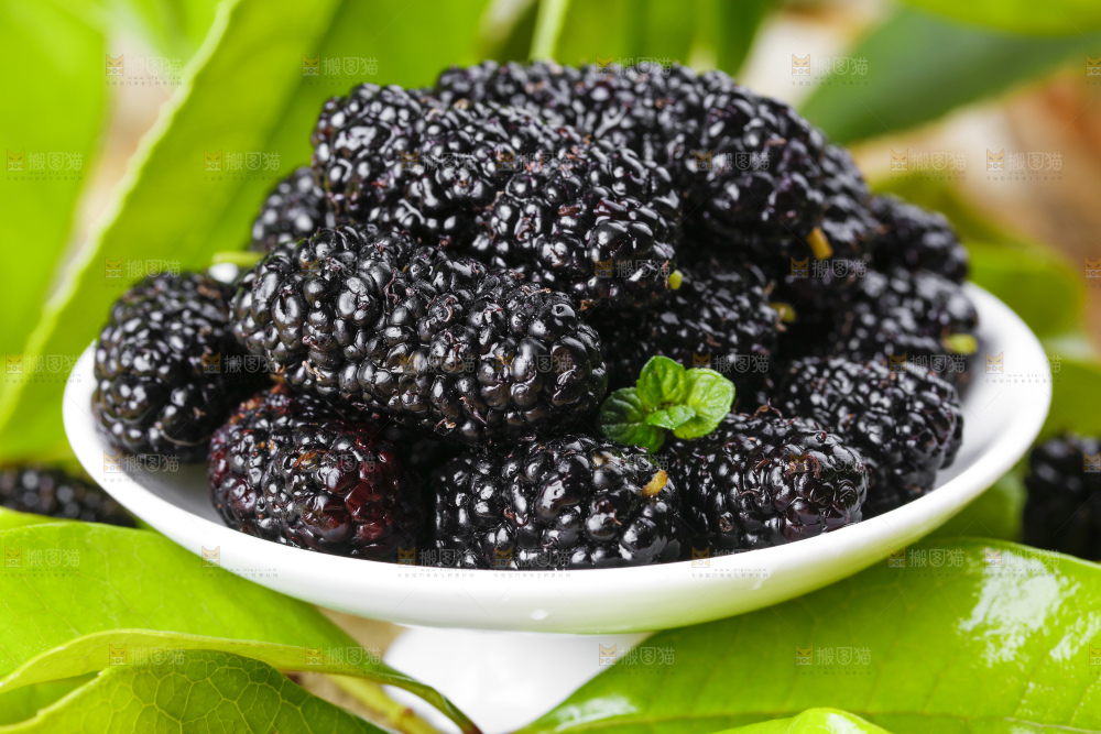 盘子装着新鲜桑葚