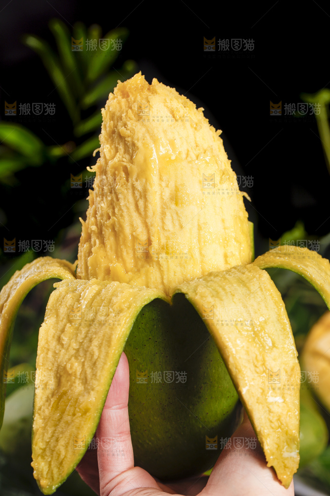 手里拿着剥开的青皮芒果