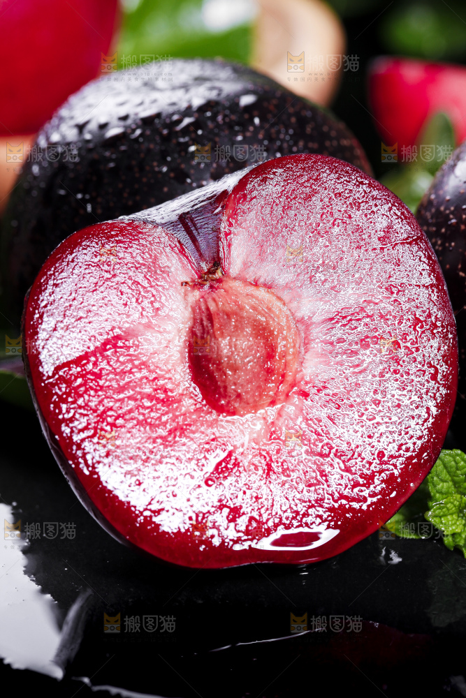 黑底上摆放着智利进口恐龙蛋