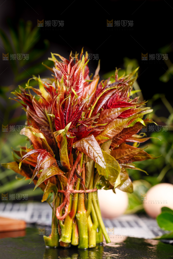 黑底上放着香椿苗芽