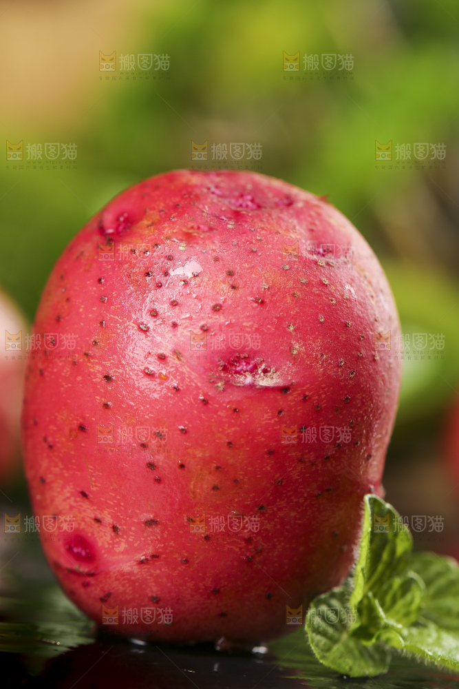 深底上摆放着红皮土豆