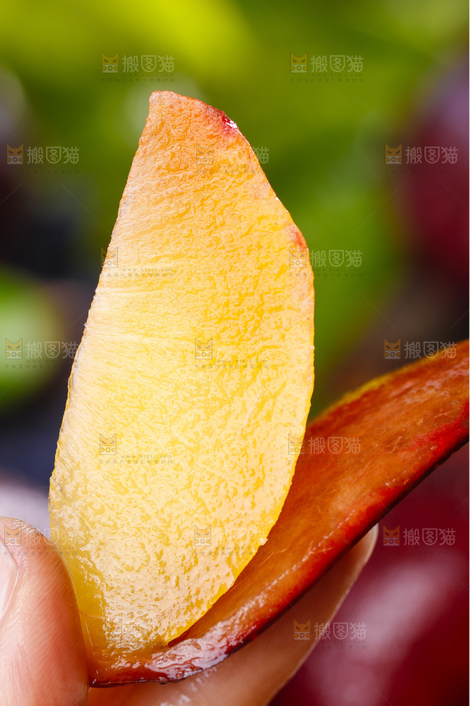 手里拿着黑布林