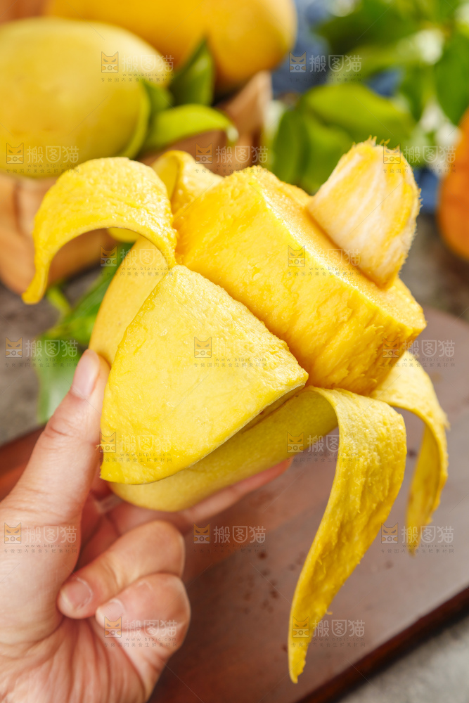 手里拿着水仙芒
