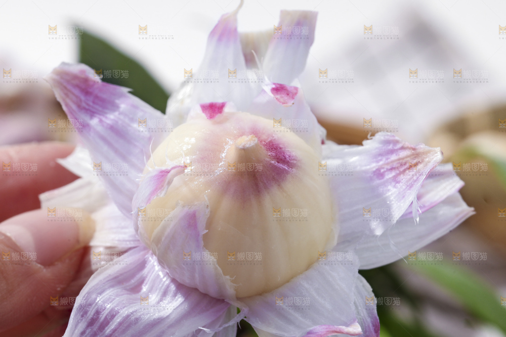 手里拿着独头蒜