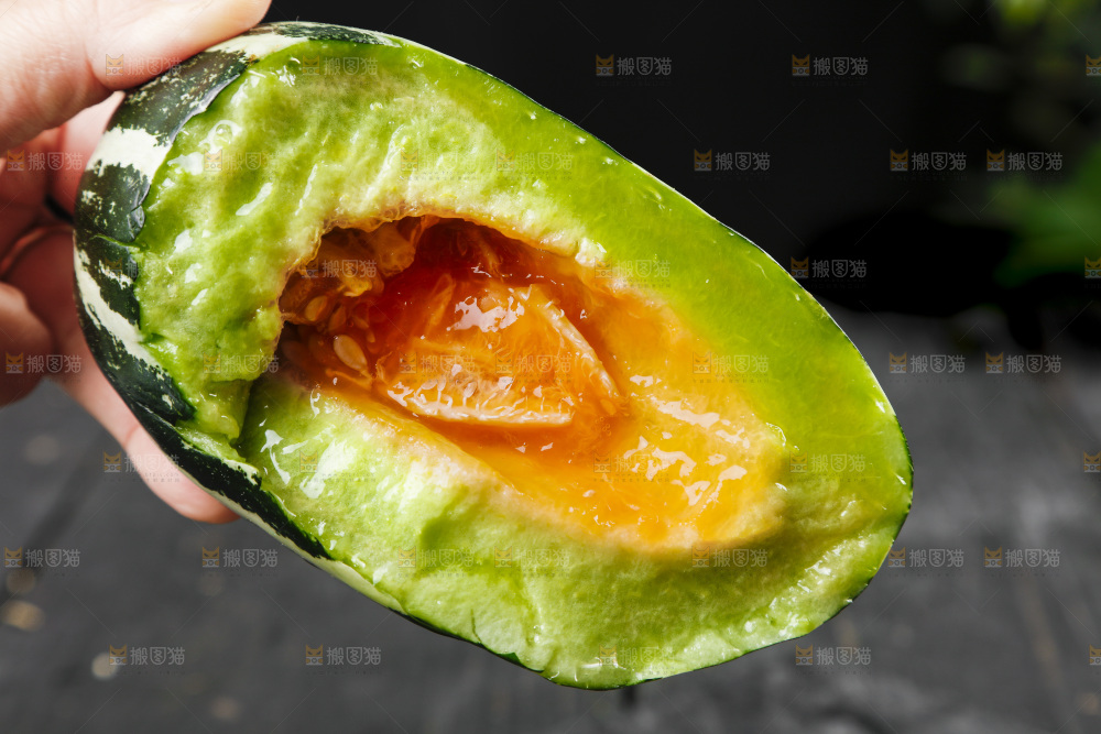 手里拿着博洋9号甜瓜