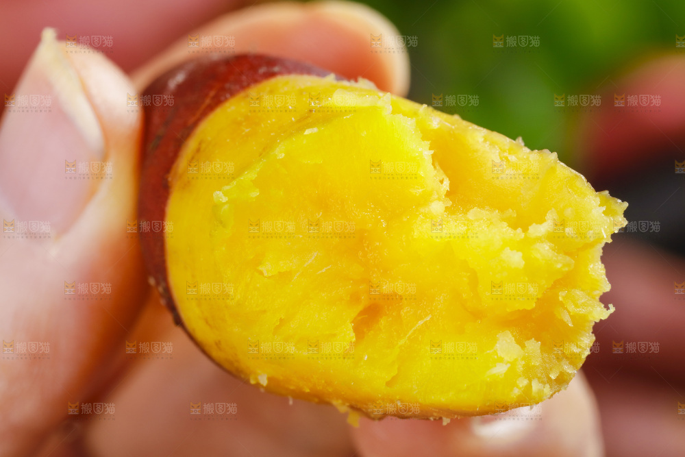 手里拿着小番薯