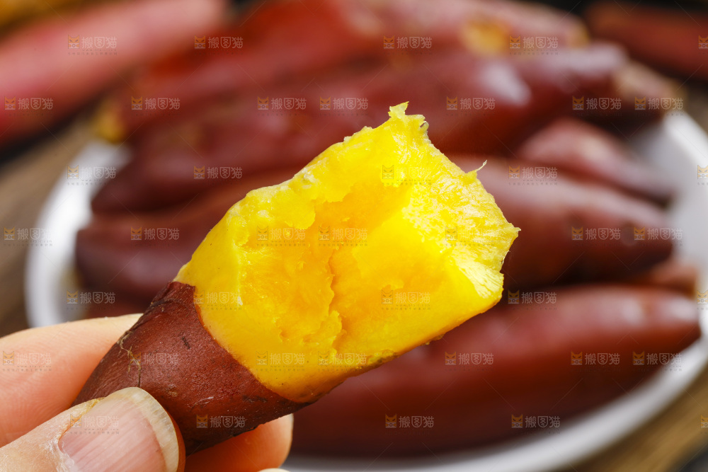 手里拿着天目山小香薯