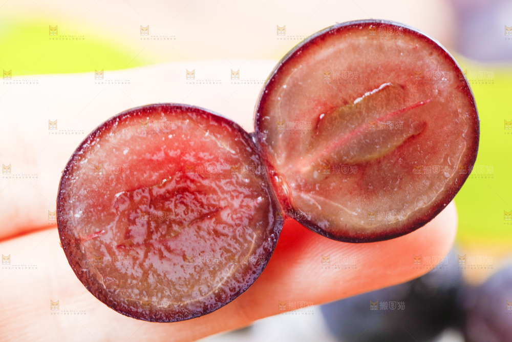 手里拿着夏黑葡萄