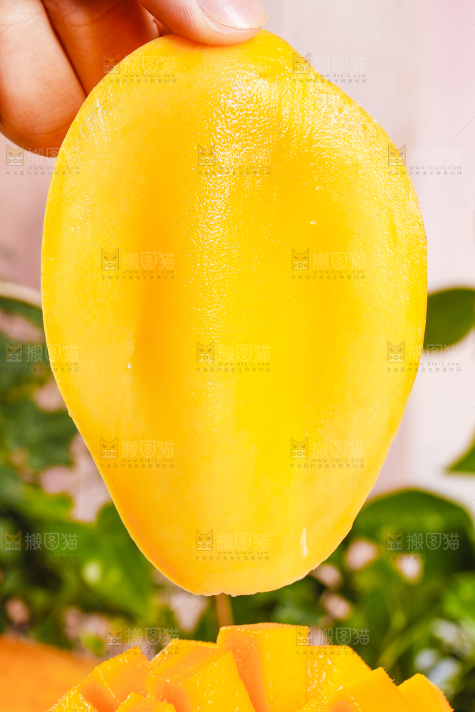 手里拿着甜心芒