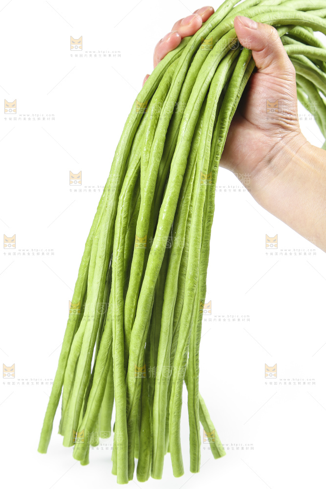 手里拿着嫩豆角