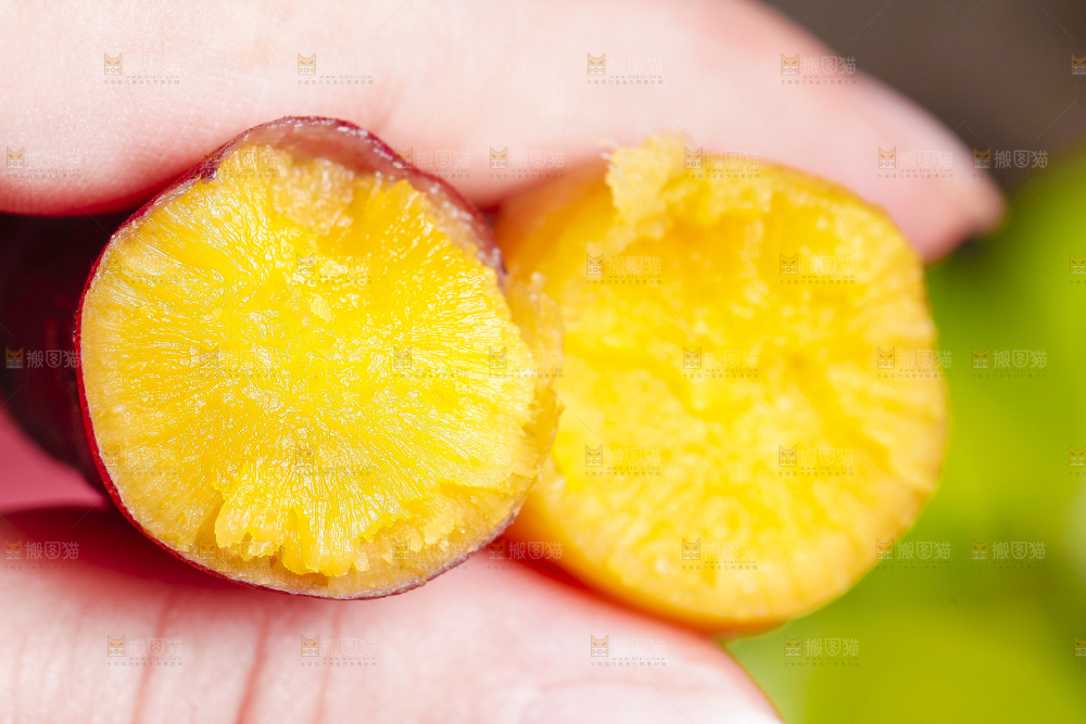 手里拿着板栗蜜薯
