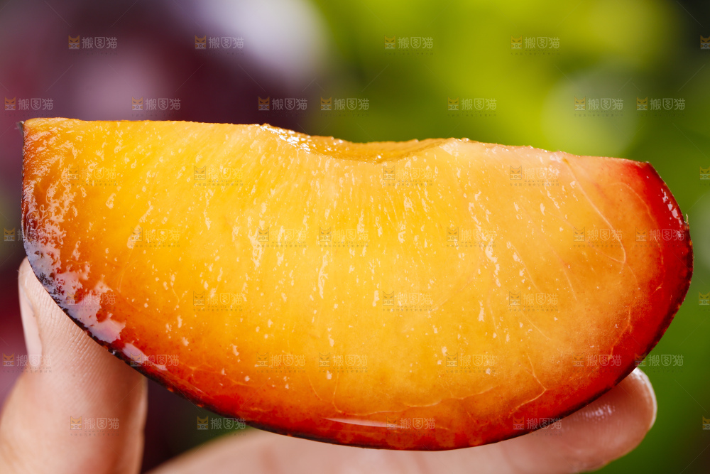 手里拿着黑布李