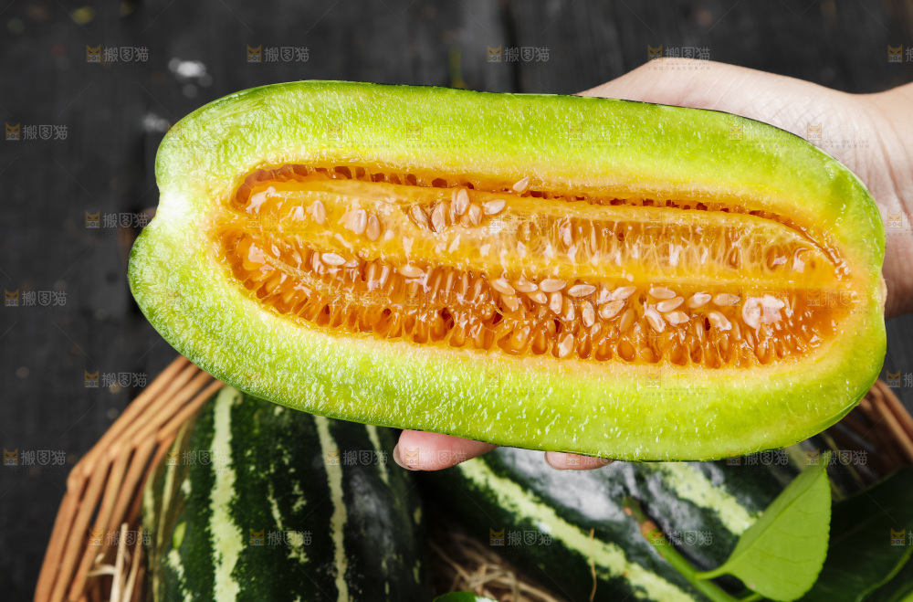 手里拿着博洋9号甜瓜