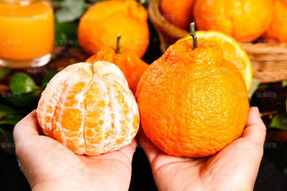 手里拿着新鲜丑橘