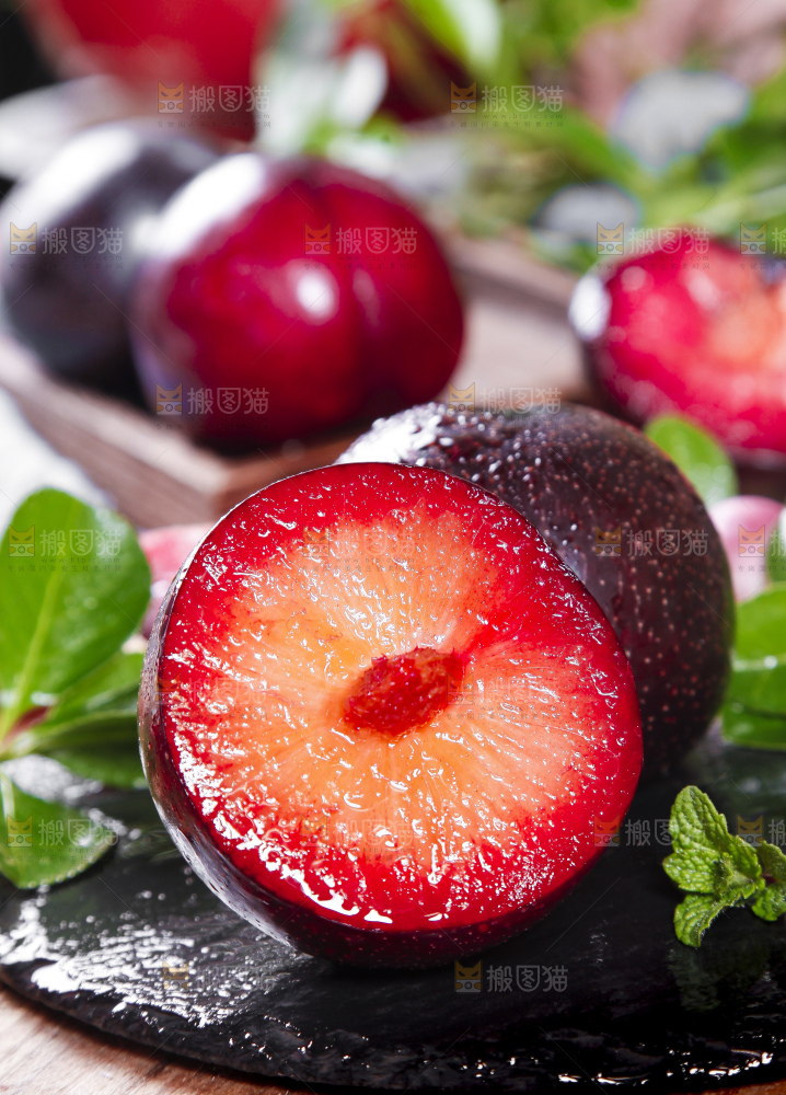 黑底上摆放着智利进口恐龙蛋