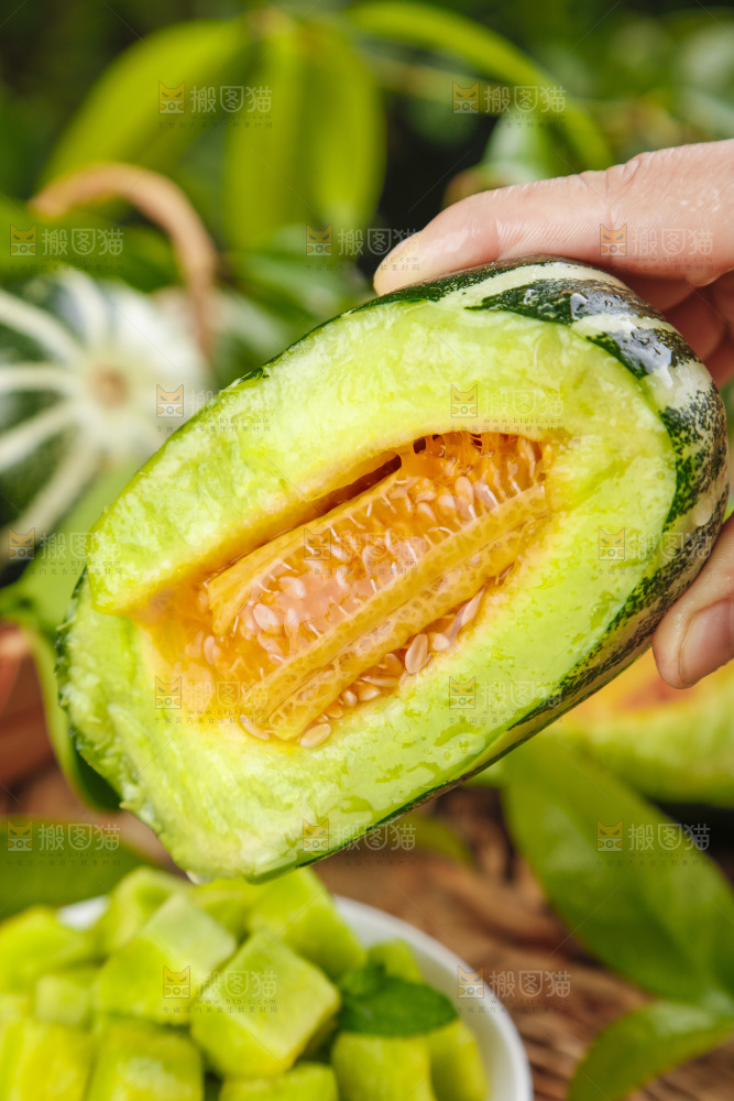 手里拿着博洋甜瓜