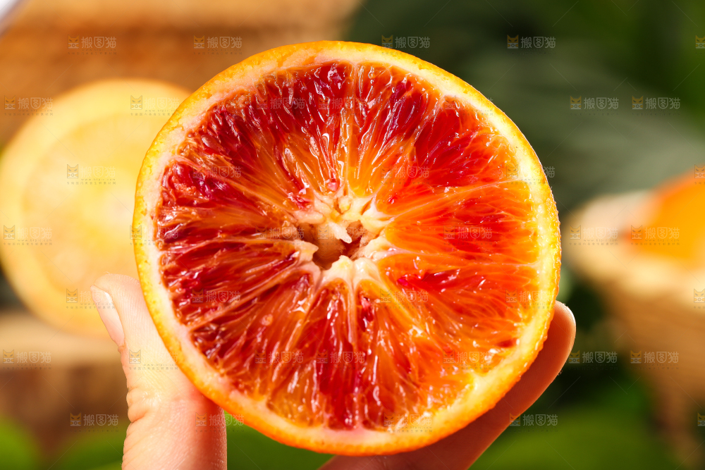 塔罗科血橙