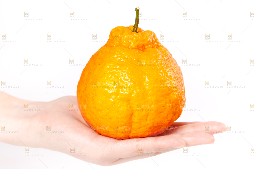 手里拿着丑柑