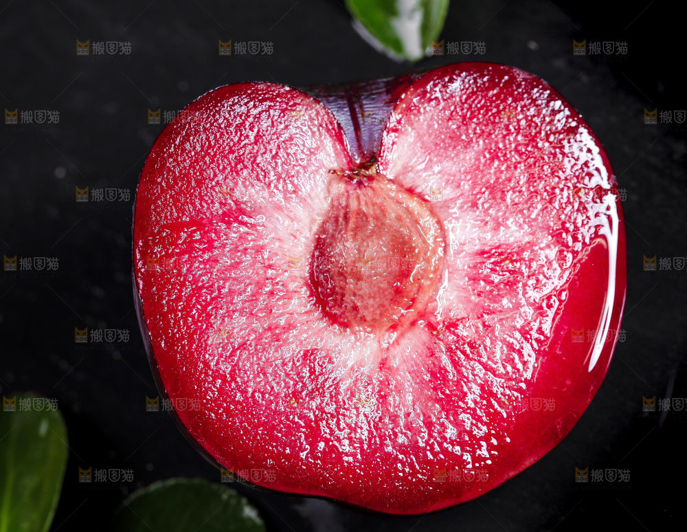 黑底上摆放着智利进口恐龙蛋