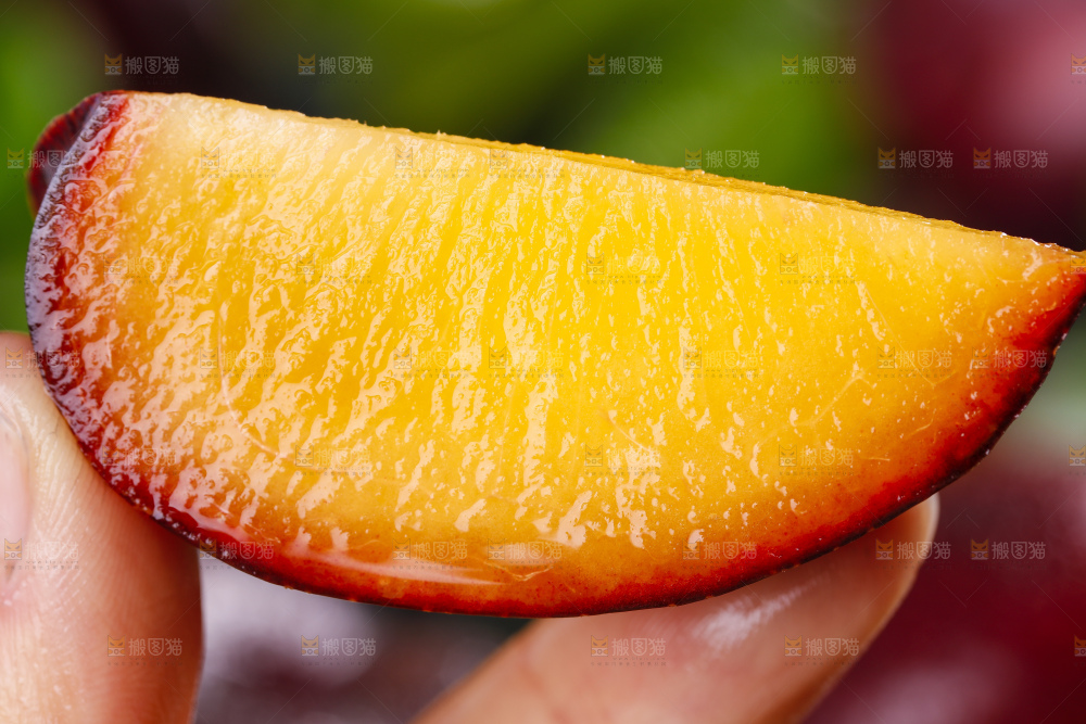 手里拿着黑布林