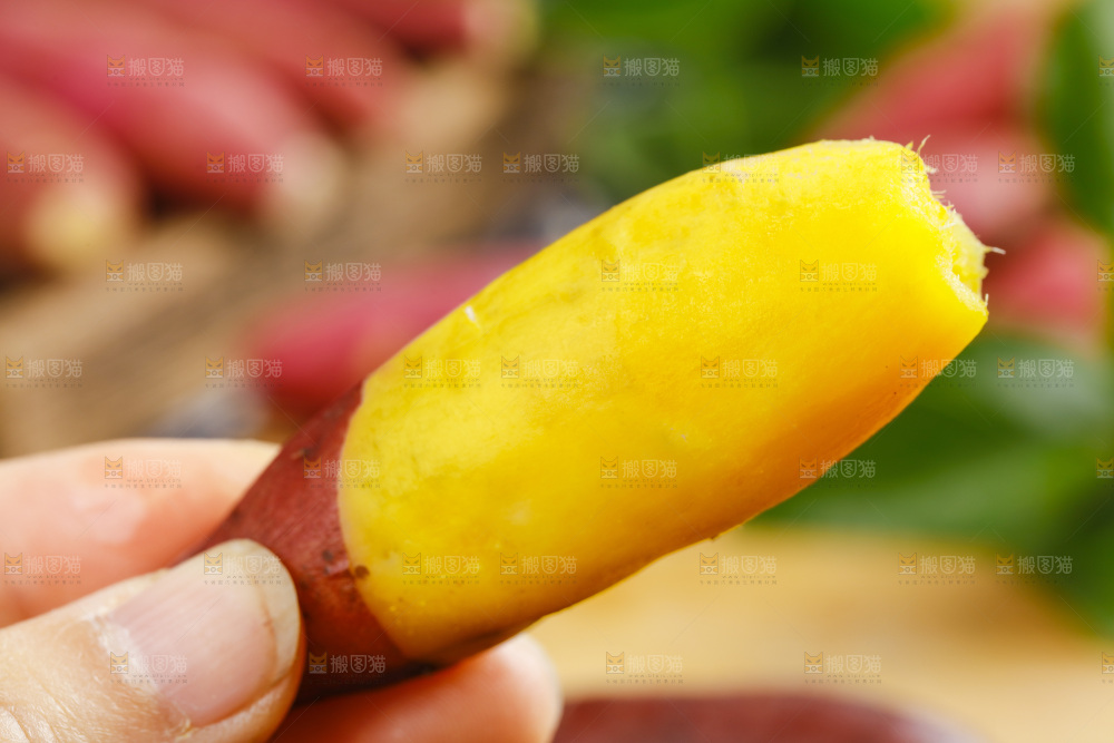 小香薯