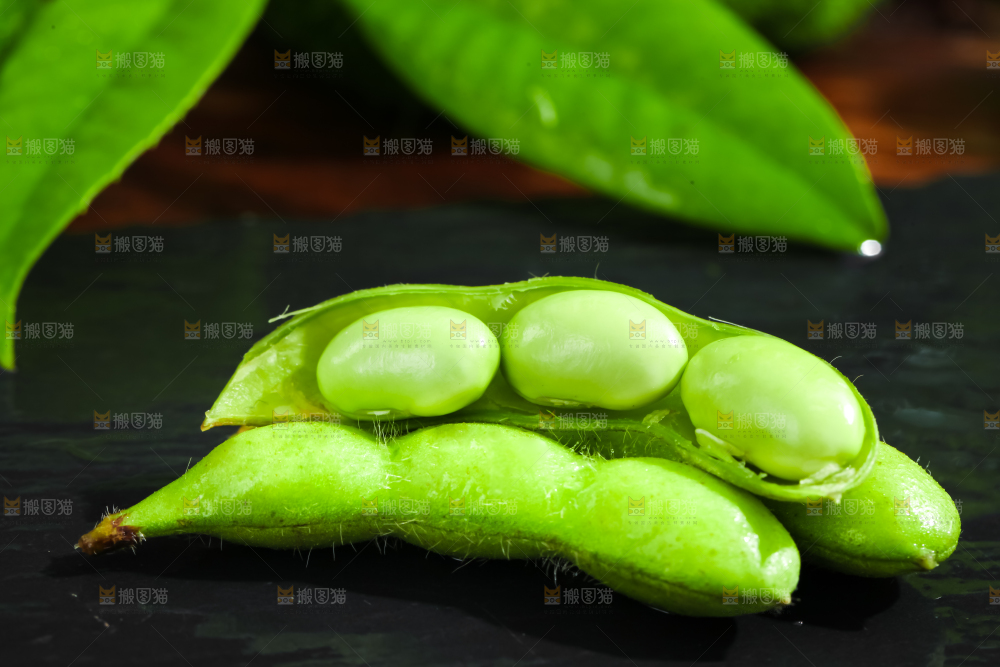黑底上摆放着湖北毛豆