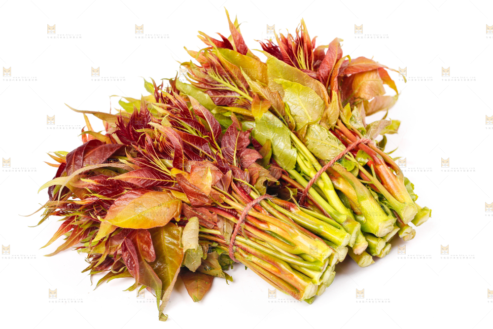 白底上摆放着香椿芽