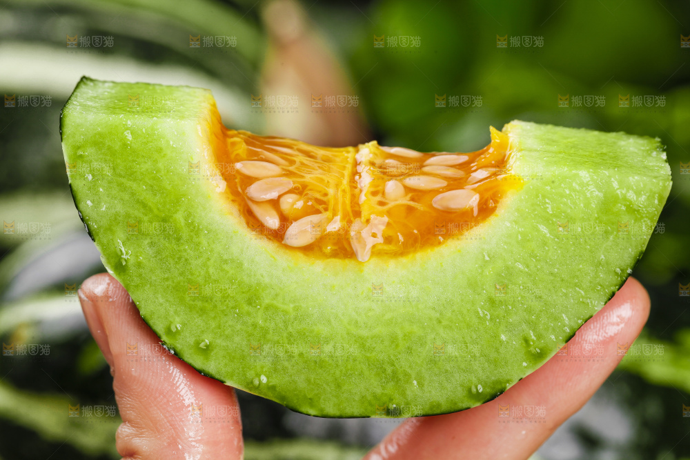 手里拿着花皮甜瓜