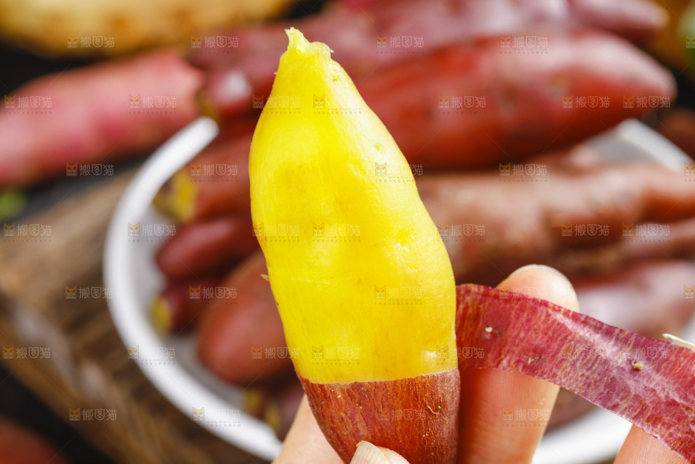 小香薯
