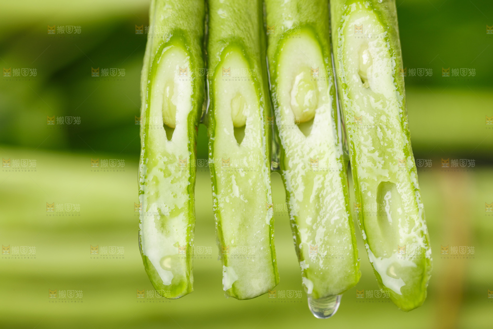 浅底上切开的长豆角