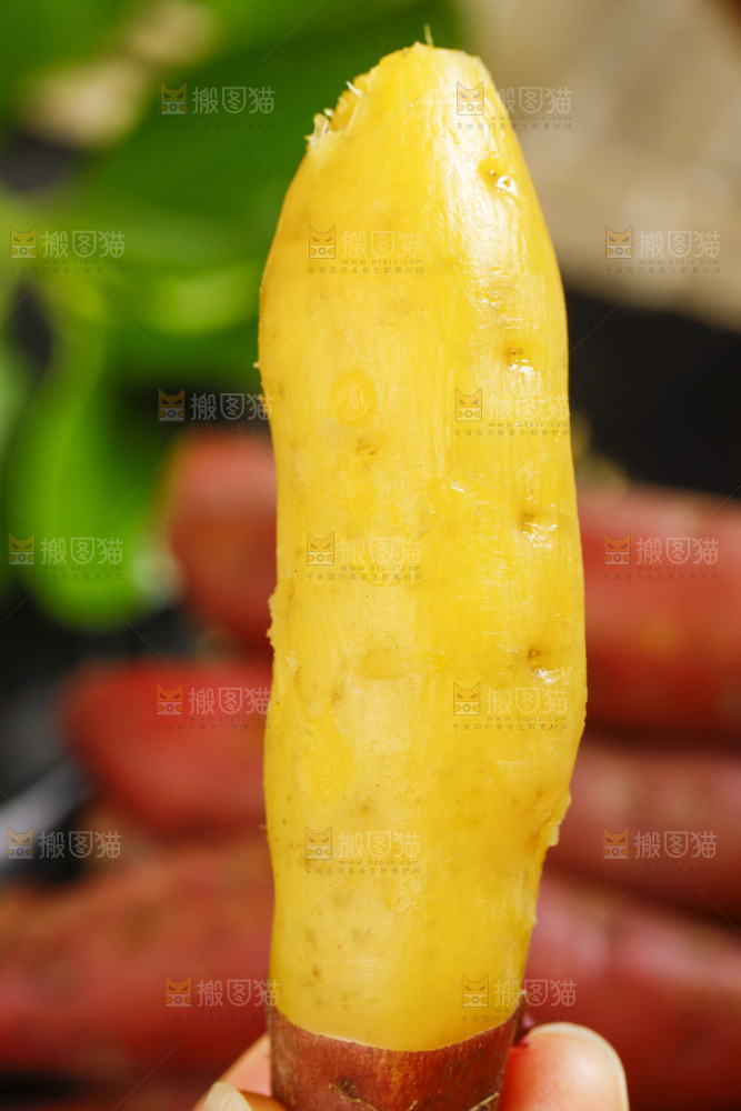 小香薯