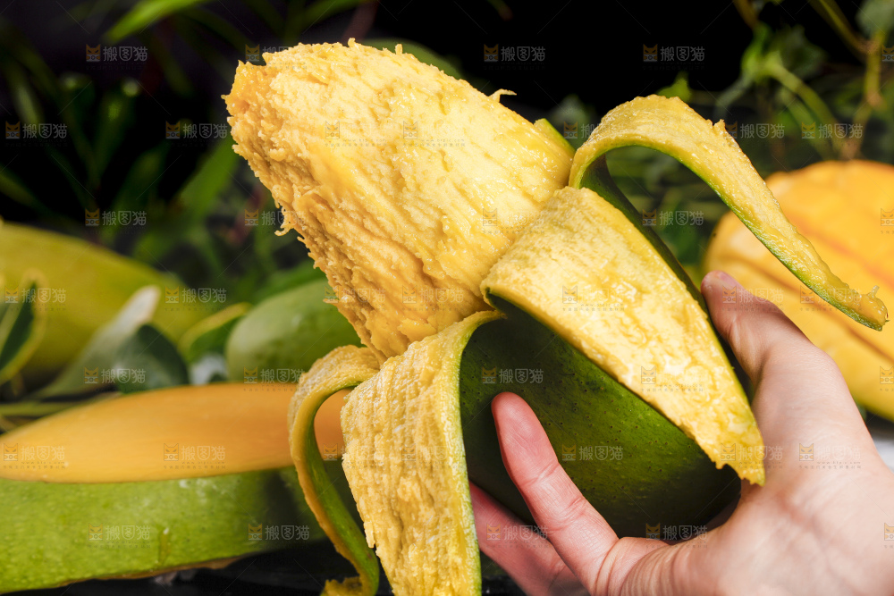 手里拿着剥开的青皮芒果