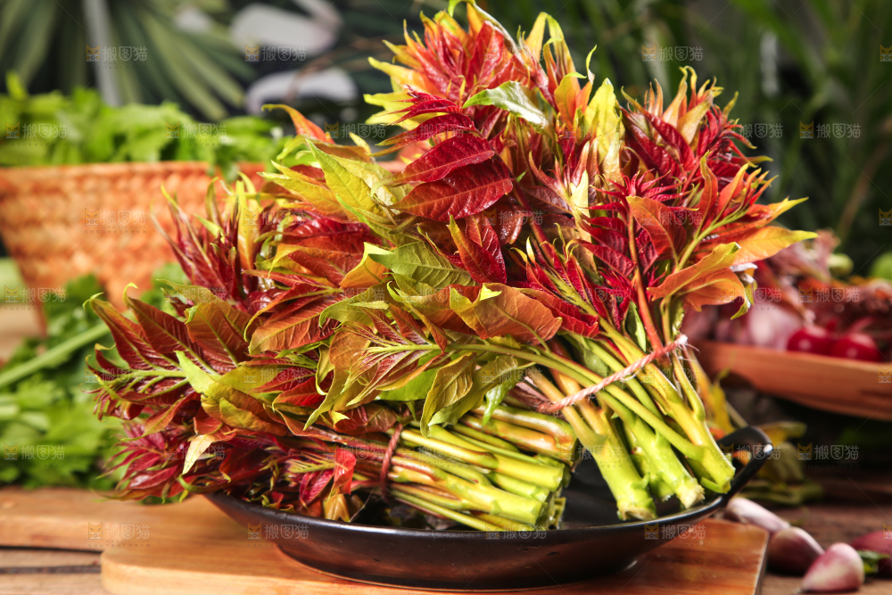 碟子里放着一把香椿苗芽