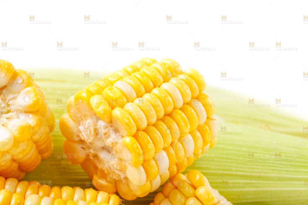 摆放着一堆的甜玉米