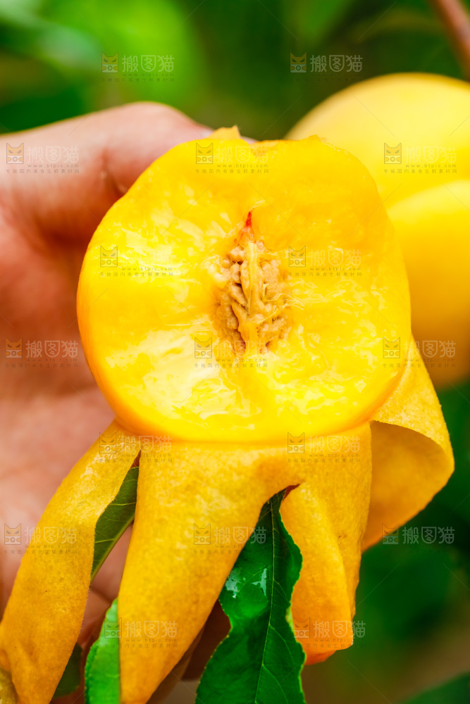 手里拿着剥皮了的黄肉毛桃